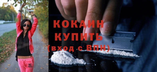ECSTASY Ельня