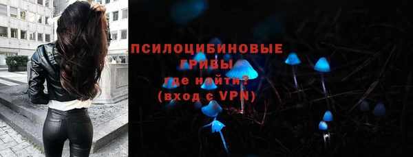 а пвп мука Нея