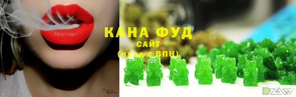 ECSTASY Ельня