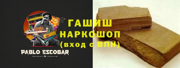 ECSTASY Ельня
