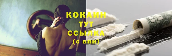 ECSTASY Ельня