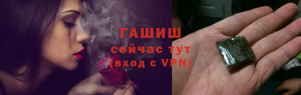 ECSTASY Ельня