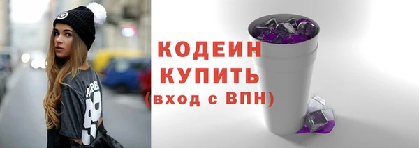 ECSTASY Ельня