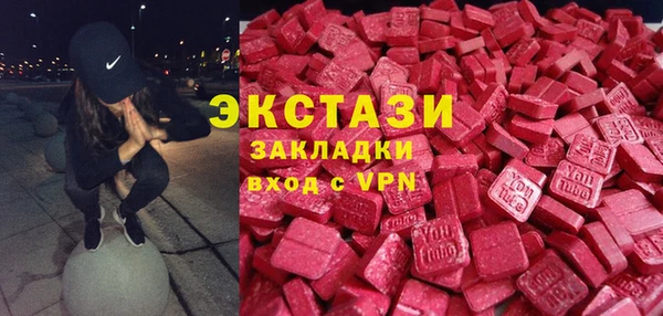 ECSTASY Ельня