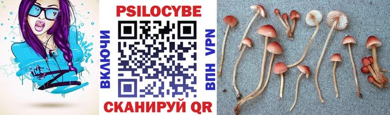 Псилоцибиновые грибы мицелий  Пустошка 